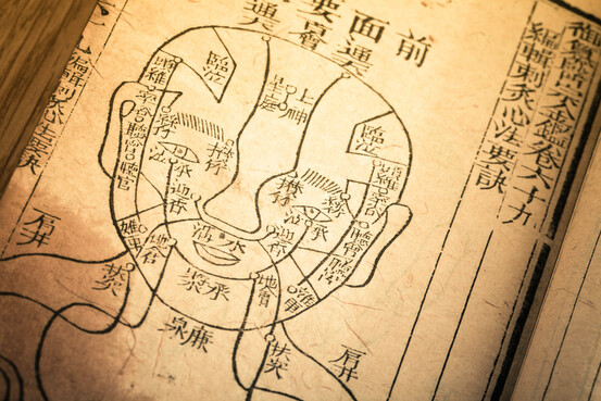 Traité de médecine de la dynastie Qing