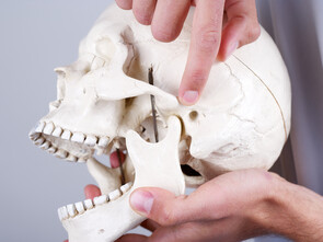 L'articulation temporo-mandibulaire est l’une des articulations les plus complexes du corps humain.