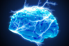 La stimulation transcrânienne rééquilibre l'activité électrique des neurones.