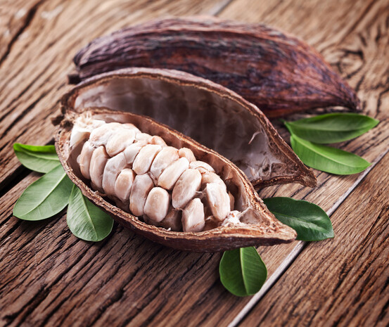 Les flavonols du cacao : prometteurs pour le maintien de la mémoire.