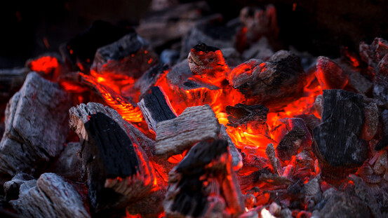 Du charbon pour éteindre le feu intestinal