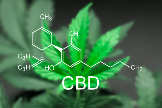 Le CBD, poil à gratter des débats sur le cannabis thérapeutique 