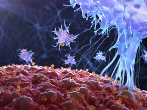 La MIT a pour objectif de rétablir une bonne communication entre les cellules du système immunitaire.