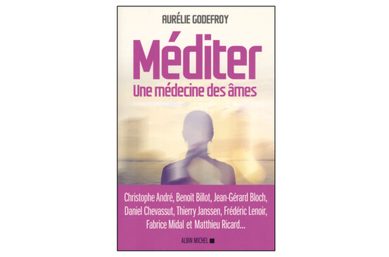 Méditer. Une médecine des âmes, d’Aurélie Godefroy