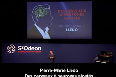 Pierre-Marie Lledo Des cerveaux à neurones ajoutés