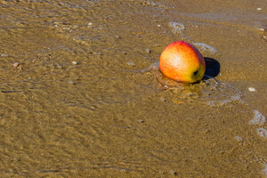 Assainir l'intestin avec un mélange d'eau de mer et de vinaigre de cidre