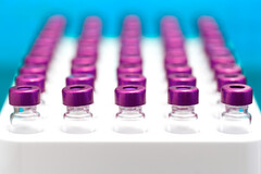 Vaccin anti-HPV : les recommandations se multiplient à l’échelle mondiale