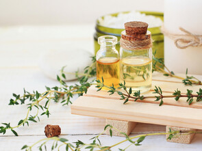 Les acores odorants a une action digestive, carminative.