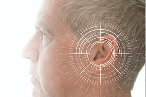 L'oreille, un organse sensoriel complexe