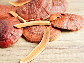 Le reishi, prometteur pour les impatiences dans les jambes