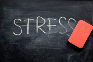 De quelle manière le stress affecte-t-il l'immunité ?