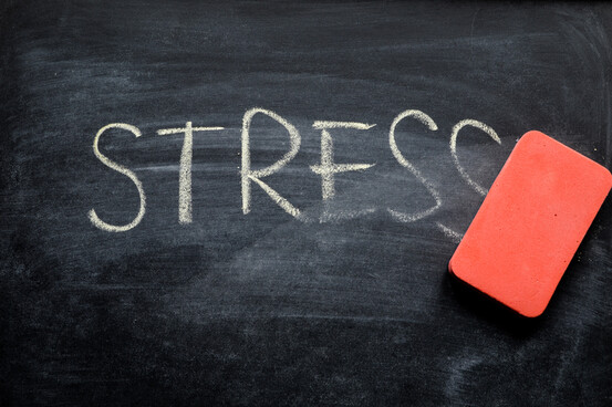 De quelle manière le stress affecte-t-il l'immunité ? 